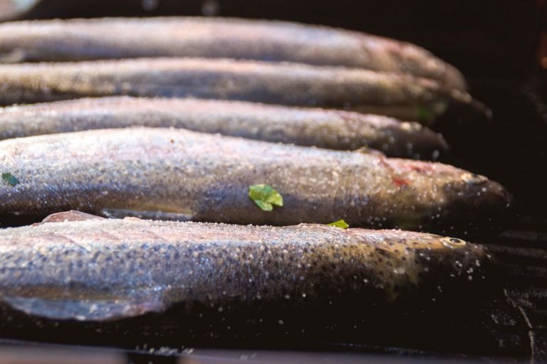 Gegrillte Forelle mit gesmoktem Kartoffelsalat 3