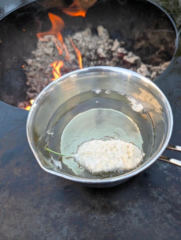 Salbeimäuse grillen – Toskanische Knusper-Kunst 5 Salbeiblätter werden in heißem Fett frittiert, bis sie knusprig sind.